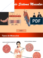 fisiologia sistema muscular.pdf