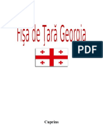 Georgia - Fisa de Tara