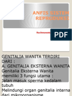 Anfis Sist. Reproduksi