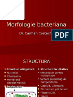 Curs despre  Morfologie Bacteriana de Carmen Costache structura acessteia in analize medicale uzuale folosite in laborator