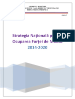 Strategia Nationala Pt Ocupare a TINERILOR 2014-2020