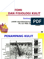 Anatomi & Fisiologi Kulit