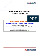 Breviar de Calcul Pilon CTR5-2 B6 30m 9mp 0.5kpa