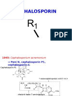Cephalosporin Monobactam