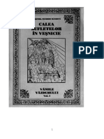 Nicodim Mandita - Calea Sufletelor in Vesnicie. 24 de Vami Ale Vazduhului (1)