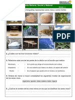 257997560-Quimica-Ambiental-Curso-Completo-pdf.pdf
