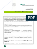 PE2013QuimicaIndustrial.pdf