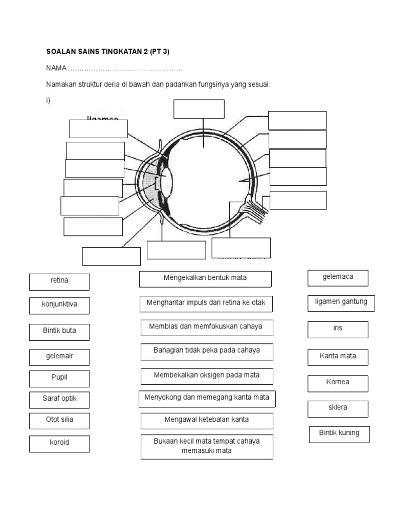 Contoh Soalan Pt3 Sains Pdf  Ououiouiouo