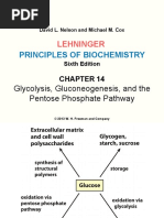 Lehninger LCA Ch14