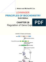 Lehninger LCA Ch28