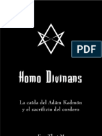 Homo Divinans
