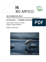 Lobo Del Artico