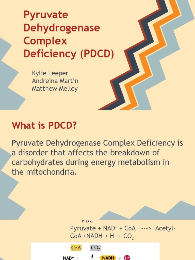 chem 353 pyruvate dehydrogenase deficiency Adenosine Triphosphate