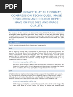 D2: The Impact That File Format, Compression Techniques, Image Resolution and Colour Depth Have On File Size and Image Quality