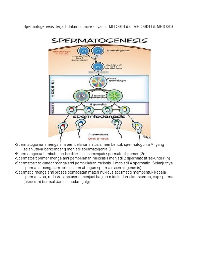 Porno partiyalar onlayn video