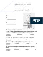 PARCIAL CIENCIAS I BLOQUE II.docx