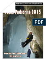 Rapport Picos 2015.pdf