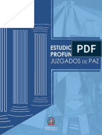 Estudio Juzgados Paz