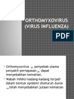 Ortho My Xo Virus