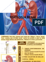 Fisiologia Renal