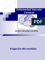 Enfermedad Vascular Cerebral, MIP 