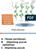 Fistum Kelompok 2 - Dominansi Apikal