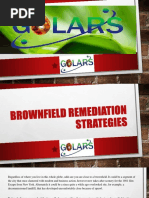 Brownfield Remediation Strategies