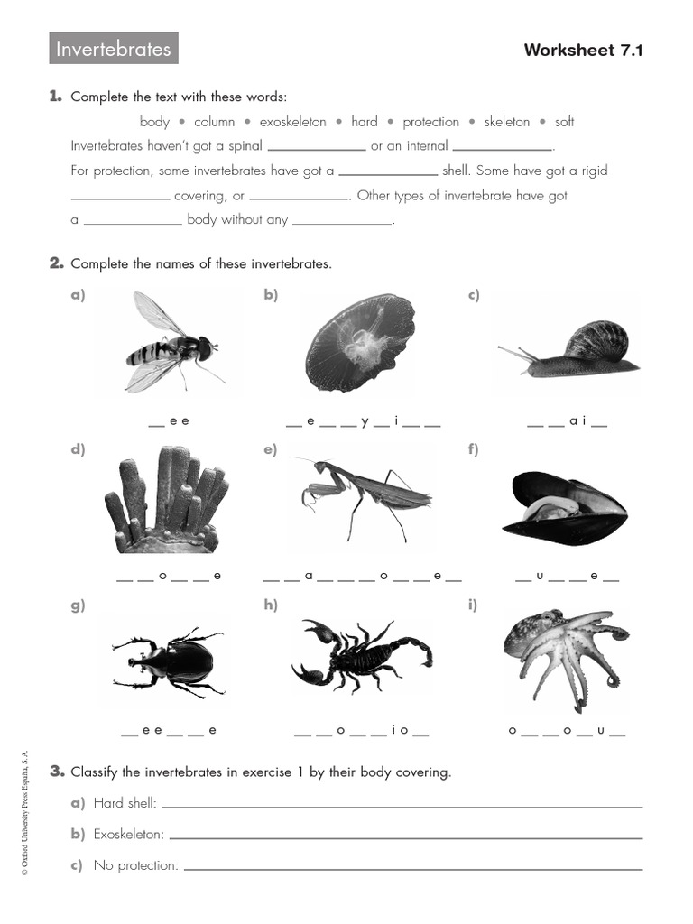 Invertebrates Worksheet Free Printable