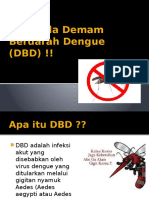 Penyuluhan DBD