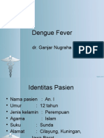 Dengue Fever