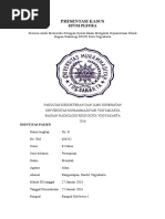 Download Presus Efusi Pleura radiologi by Rhisa Oviani SN298854597 doc pdf