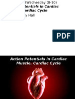 1394-08-13 Action Potentials in Cardiac Muscle, Cardiac Cycle