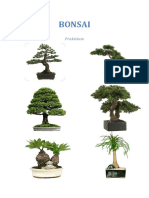 Bonsai