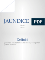 Jaundice Dd Ver2