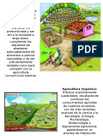 Agroecologia