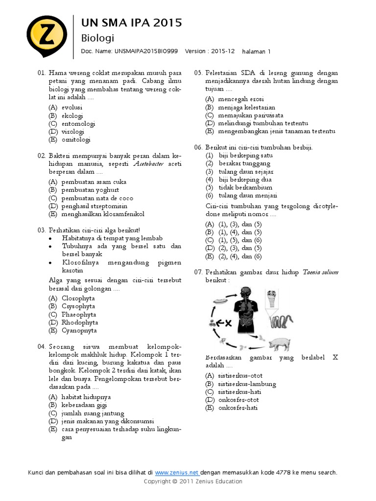 Kunci Jawaban Soal Un Zenius Dunia Sekolah