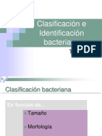 Técnicas de Identificación Bacteriana