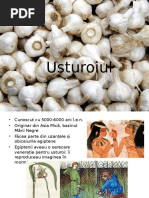 Prezentare usturoi