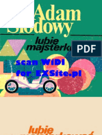 A.Slodowy - Lubie Majsterkowac