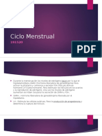 ciclo menstrual