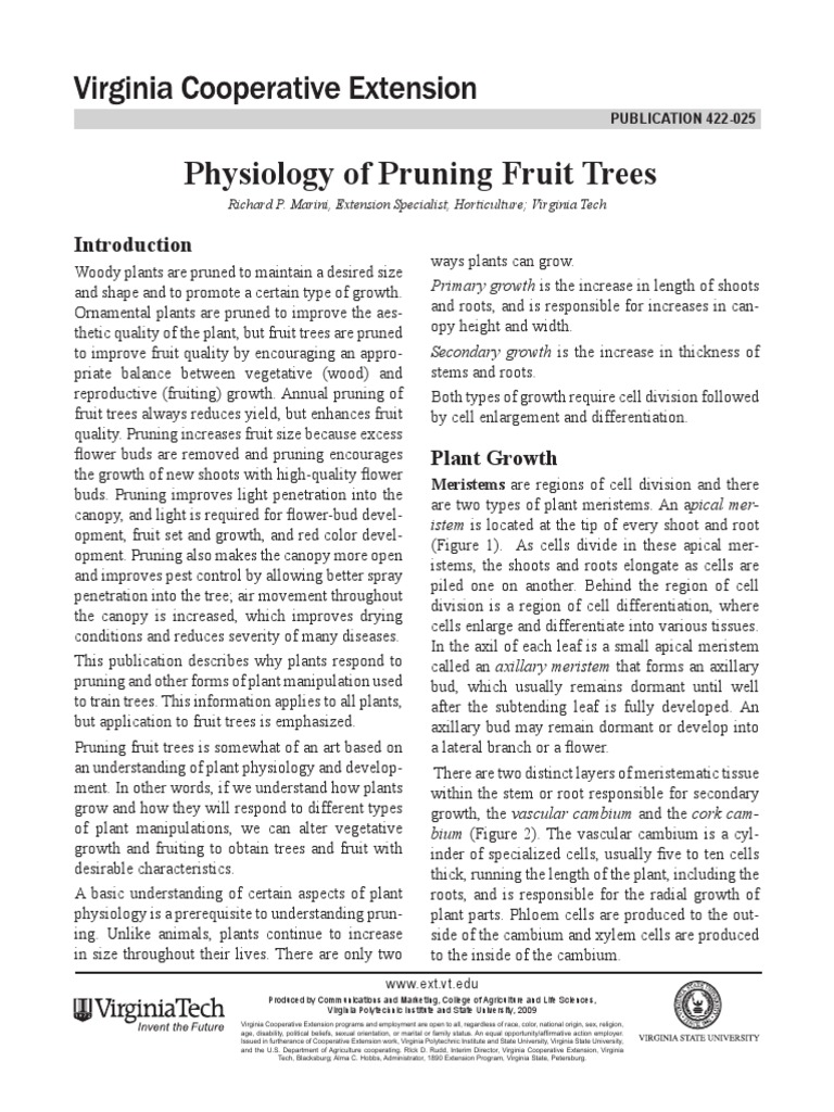 Pruning Techniques for Fruit Trees | PDF | Pruning | Auxin