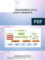 Microorganismos en El Medio Ambiente