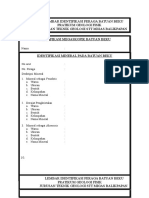 Format Identifikasi Batuan Beku