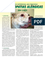 Piodemite Veterinário