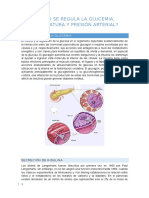 Cómo Se Regula La Glucemia