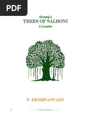 Swamy S Trees Of Salboni Cinnamon Plants