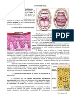 Mucosa Oral GL Salivar ATM