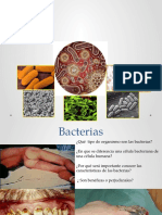 Bacterias