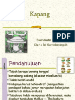 Materi Kapang