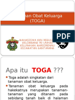 Tanaman Obat Keluarga TOGA